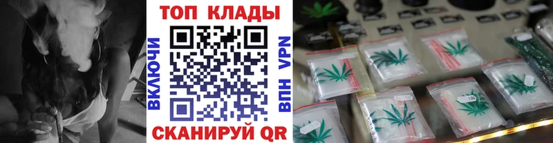A PVP Санкт-Петербург