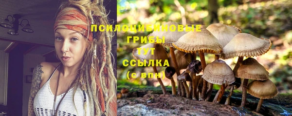 тгк Богданович