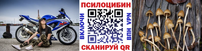 хочу   гидра как войти  Галлюциногенные грибы мухоморы  Санкт-Петербург 